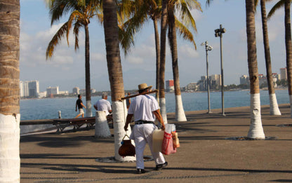 Camina por la ciudad- Gratis al reservar tu transporte redondo con nosotros